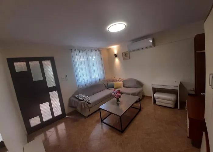 Vito * Milohnici