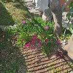 Vito Apartamento Milohnici